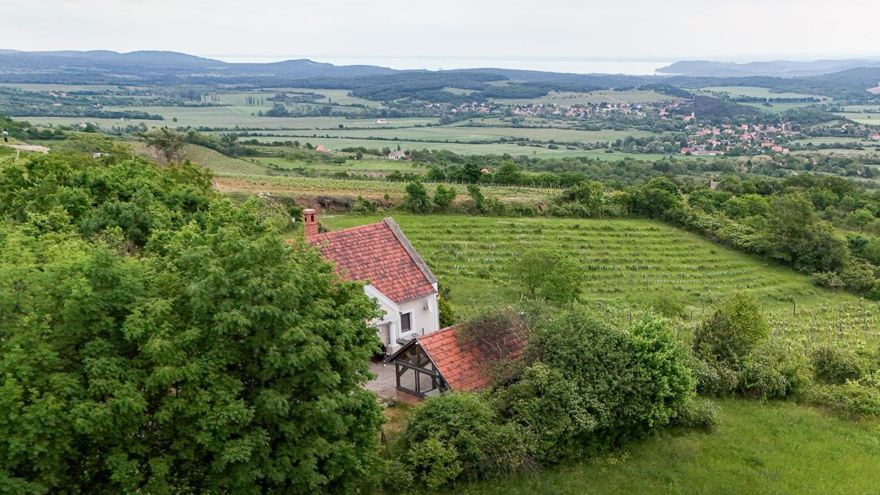 Borospince Vendeghaz Villa Pécsely Exterior photo
